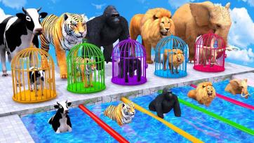 Colorful Animals Parade - Funny Lion, Tiger, Cow, Elephant and Gorilla for Kids