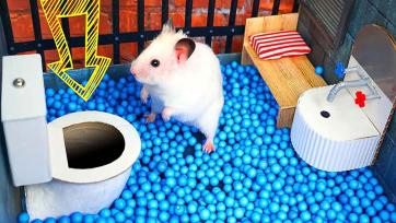 Tiny Hamster Adventures in the Colorful Ball Pit Playground