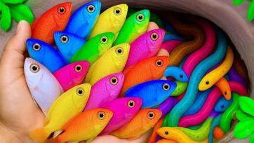 The Rainbow Fish Parade in the Shimmering Sea